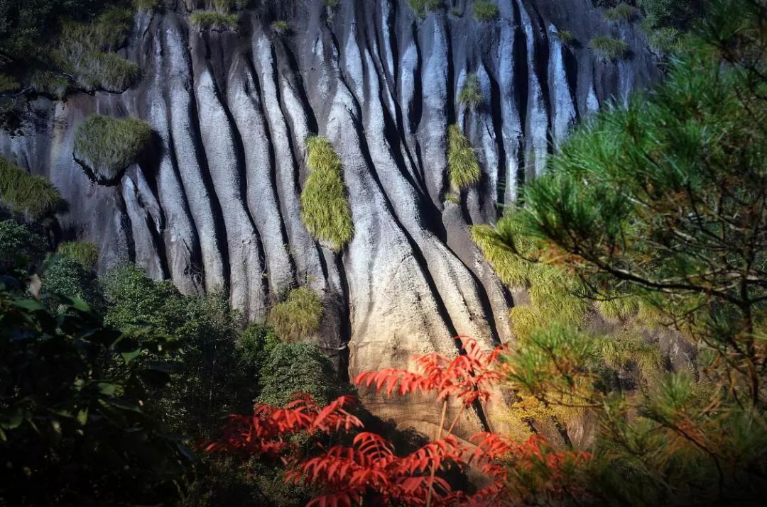 宁德地区国字号,宁德有哪些地方有国字号