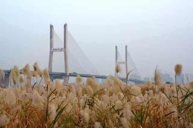 武汉地铁周边旅游景点,武汉五一出游景点推荐