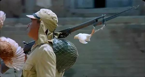 日军为什么爱抢鸡,日本鬼子为什么喜欢吃鸡肉