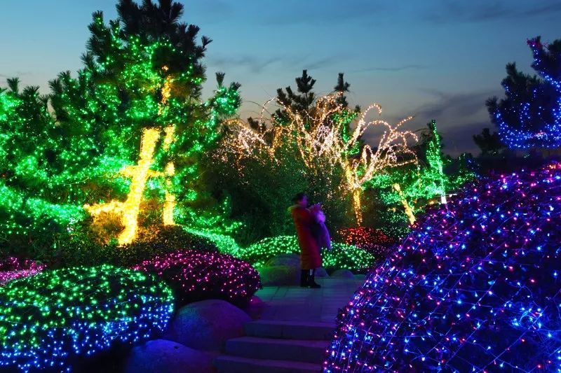 诗意宫灯,诗意元宵