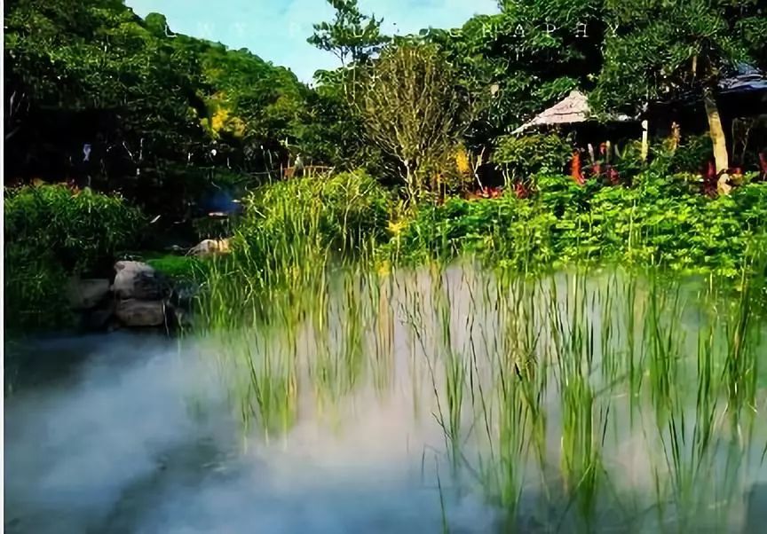 @所有人,2号线又有新进展!这条霸屏的网红线路,居然有这么多好玩的~