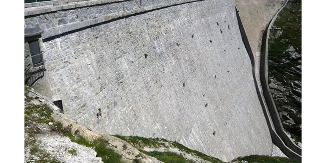 作为内蒙人，山羊这么牛的生物，竟然不了解？