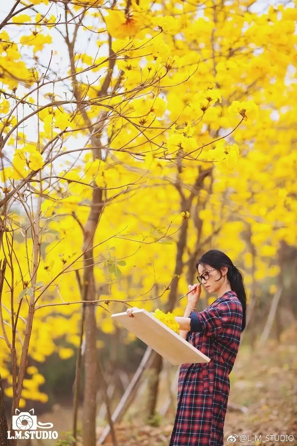 广西有座小城,广西隐藏千年小城