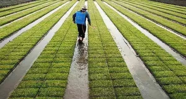 致富能人带领农村脱贫,致富能人
