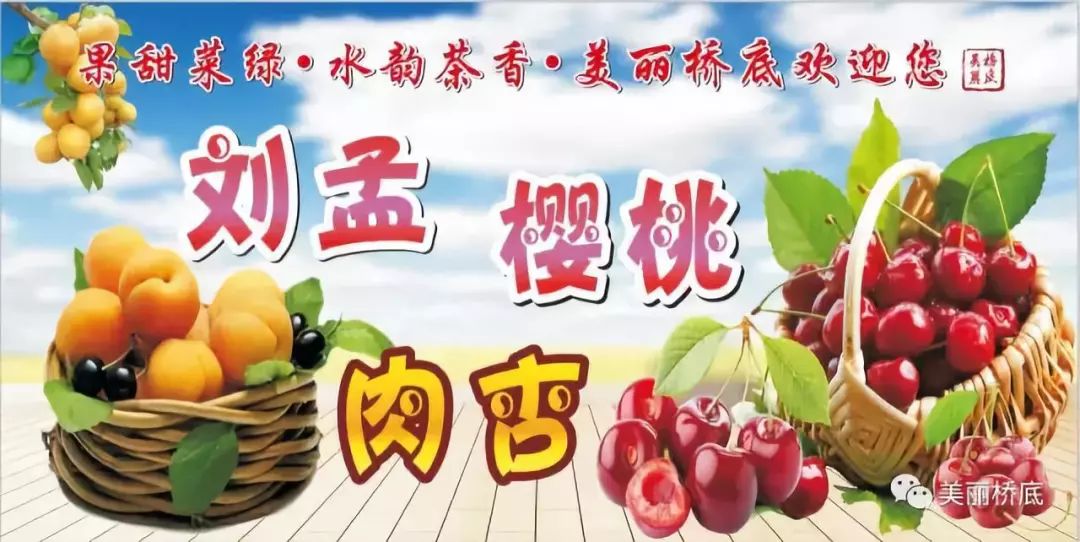 洛南县政府表彰脱贫攻坚先进个人,阳城县脱贫攻坚先进个人名单