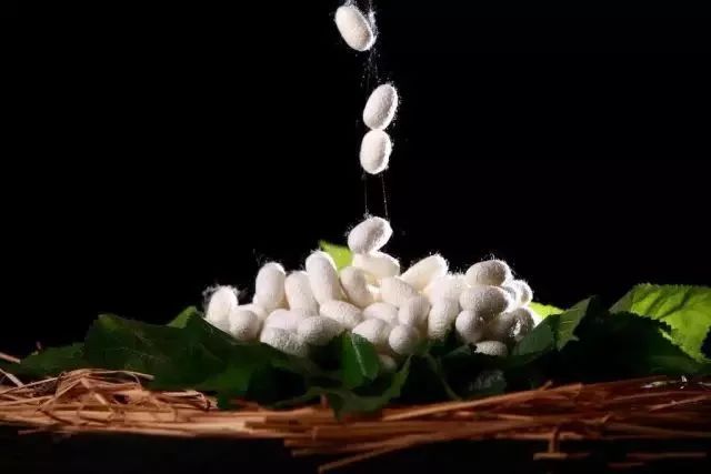 蚕丝裤100%桑蚕丝内穿,冬天穿的蚕丝裤