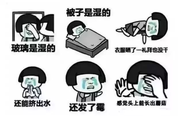 给北方人科普下广州的回南天,广州的回南天你感受到了吗