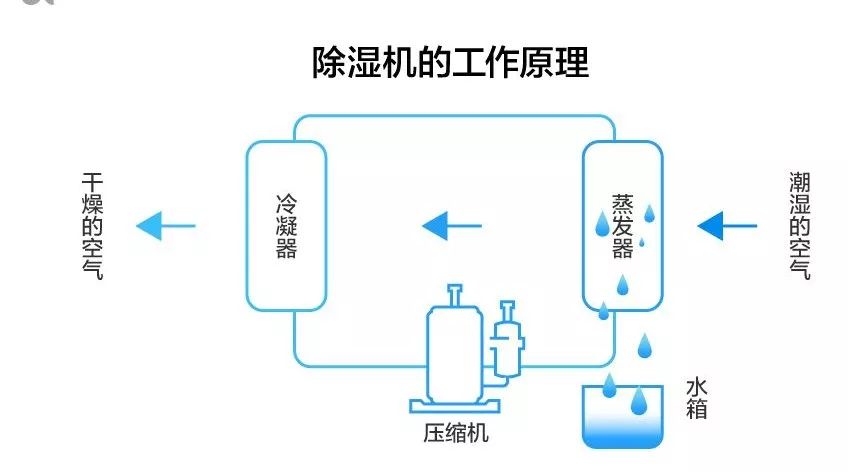 给北方人科普下广州的回南天,广州的回南天你感受到了吗