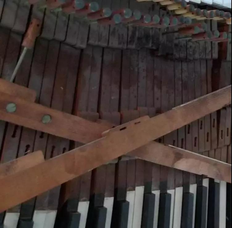 钢琴热背后的素质教育,钢琴教育未来5年的走向