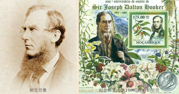 去喜马拉雅山采集杜鹃花，这个英国人有多疯狂？