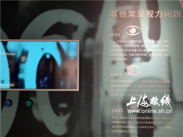 魔都100｜你会挑眼镜吗？镜架呢？眼睛的秘密都藏在这里了！