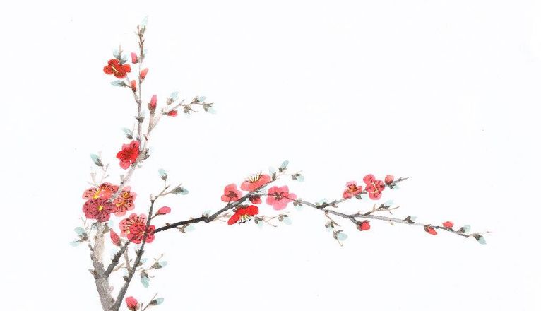 免费开放会文雅！诸暨“梅痴”耗时36年打造一座隐世“梅山”……