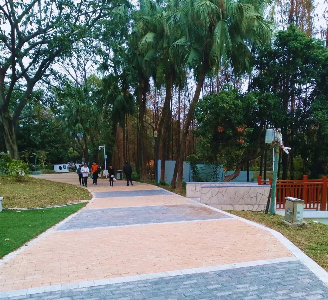 中山民众好玩的公园,中山的年轻人爱去哪里逛