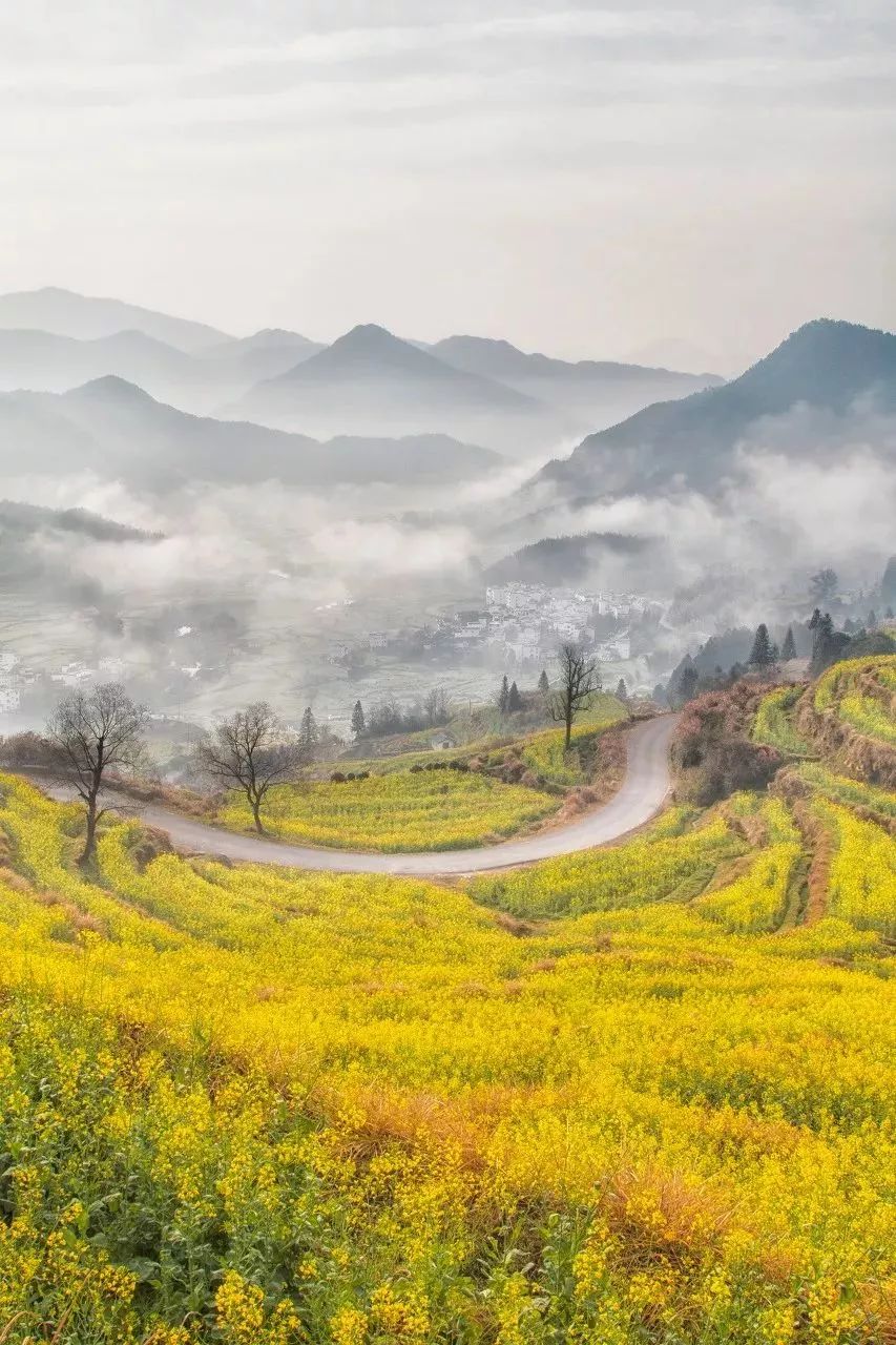 2022年3月机票便宜,三月下旬厦门到成都机票价格