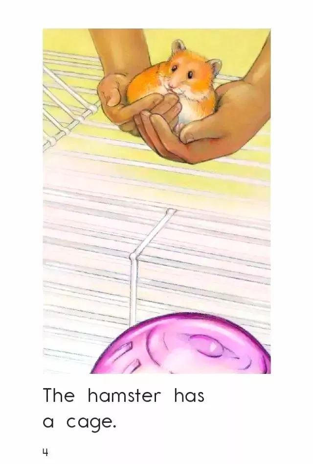 「英语轻松学」之《HamsterHome》仓鼠的家