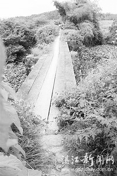 湛江廉江石岭镇盘龙塘村,湛江廉江石岭镇盘龙塘