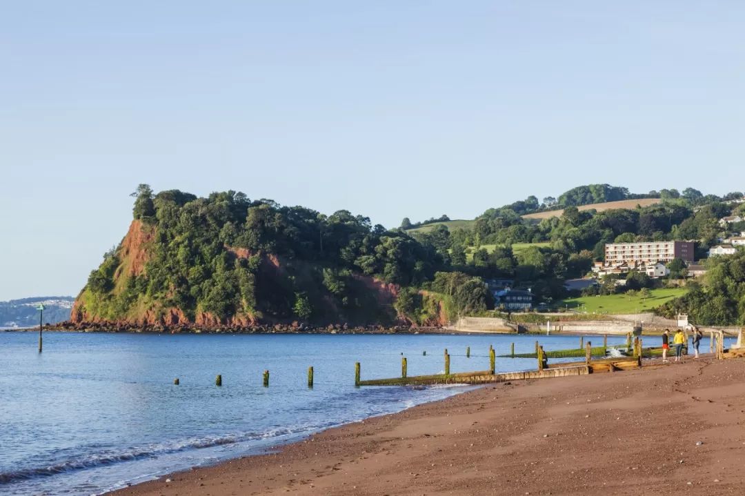 杨立新杨玏封面春运,杨立新杨玏一起拍电视剧