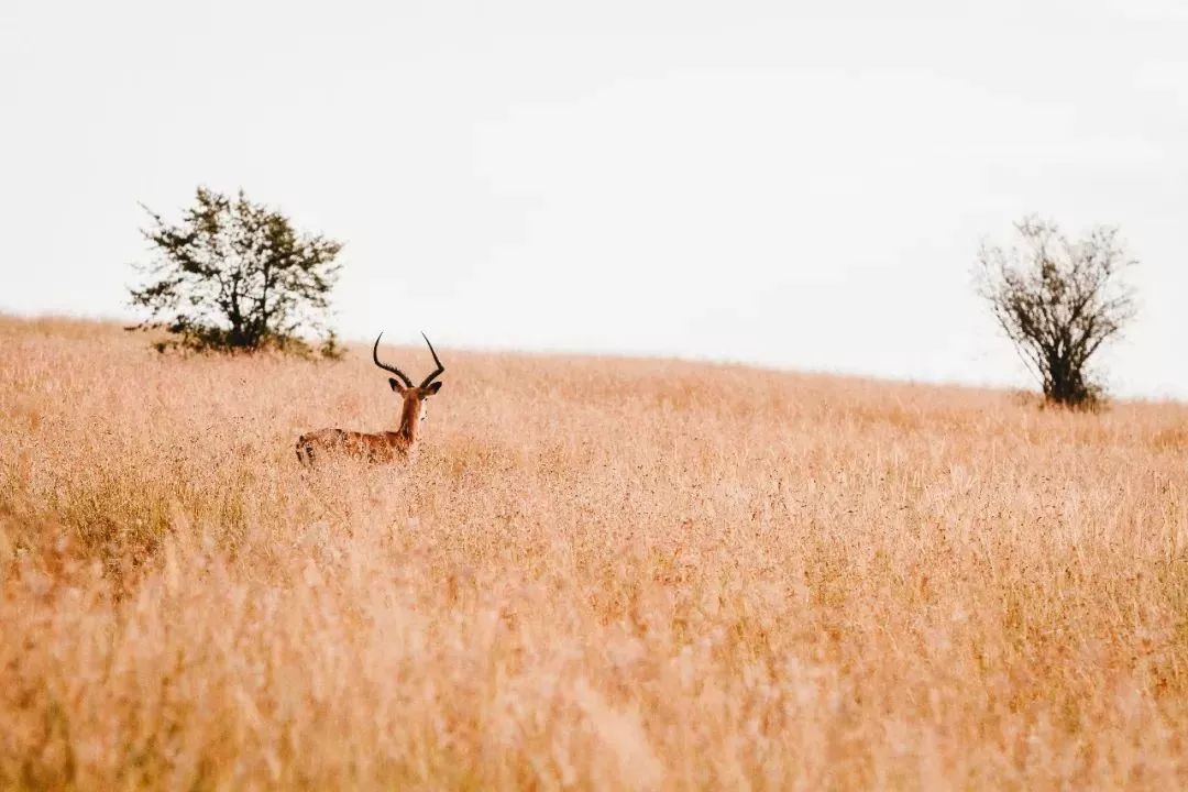 马云演讲说过见过很多的人,马云我见过各种优秀的人