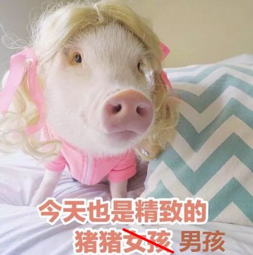 没有丑男人只有懒男人图片,韩国精致男人日常