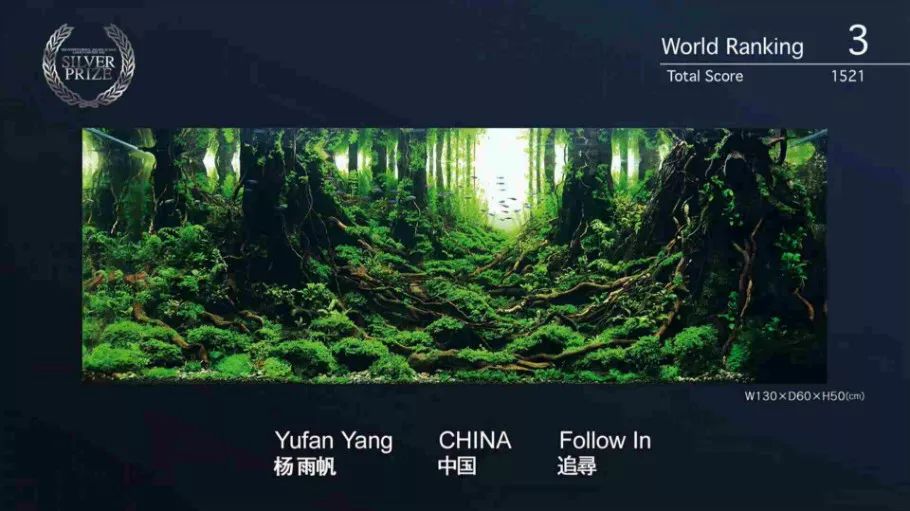 ada2021造景大赛第一名高清图,22年ada造景大赛