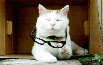 美国禁用眼药水,日本眼药水被欧美禁用