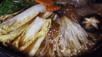 初春的西影厂，是那棵法国梧桐树下的日料店