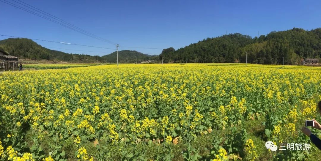 这是一份来自三明的“春天使用说明书”，请仔细阅读！