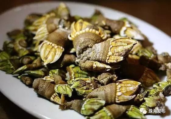 定了！石家庄将首开至珠海、嘉兴方向高铁，一路都是好风景