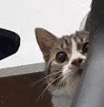 哇咔咔！西安SKP遇上“女神节“，这些优惠折扣让人心动……