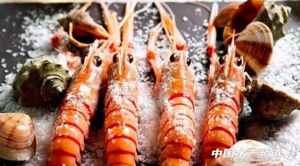 吃了这么多年鱼,虾的品种和口感有什么区别