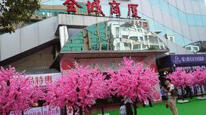 玉林网红打卡点格桑花景区,玉林打卡网红地古镇