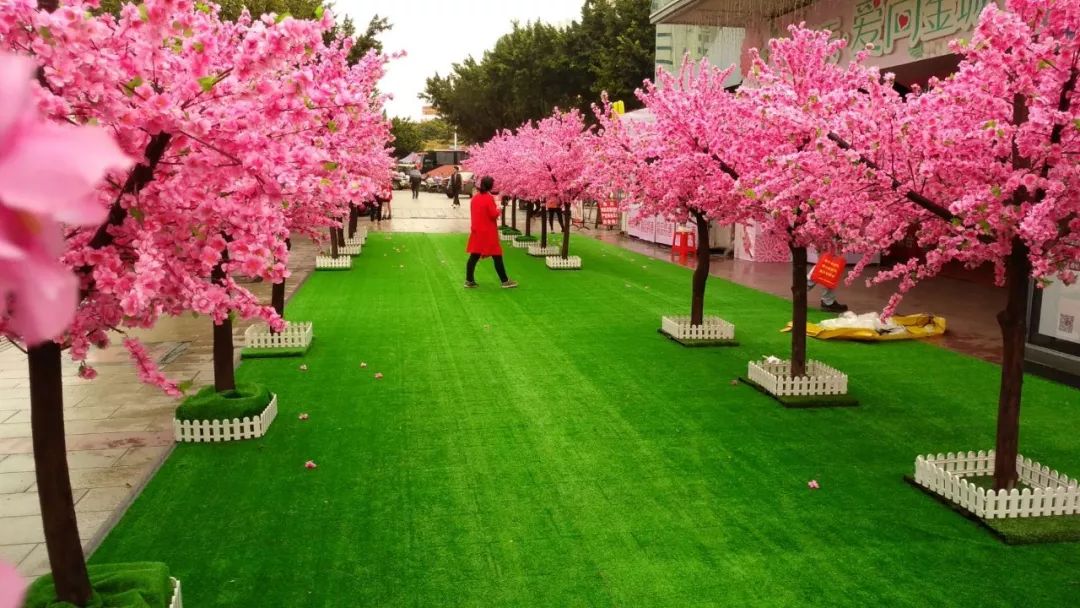 玉林网红打卡点格桑花景区,玉林打卡网红地古镇