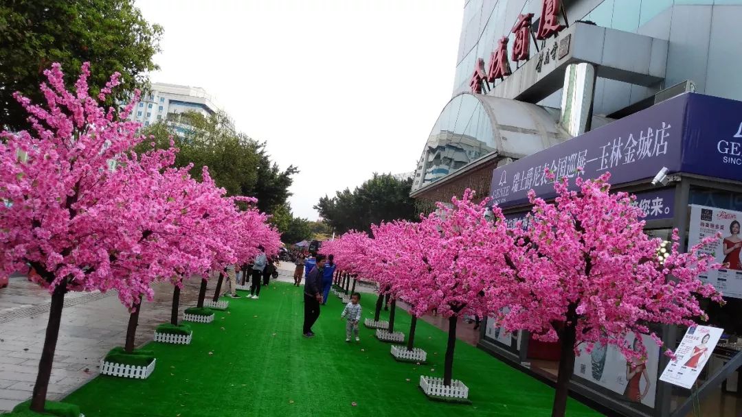 玉林网红打卡点格桑花景区,玉林打卡网红地古镇