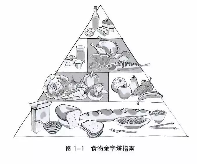 减肥一定要减得彻彻底底,当代人减肥的一天