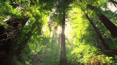 当富士山遇上巴黎铁塔,当雪山遇上好看的雪山