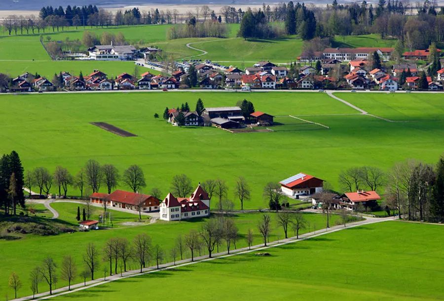 女神节花海一日游,女神节桃源一日游活动