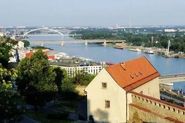 女神节花海一日游,女神节桃源一日游活动