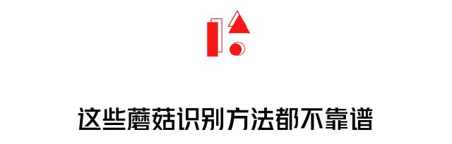 2017毒蘑菇中毒指南,广东进入毒蘑菇高发季节