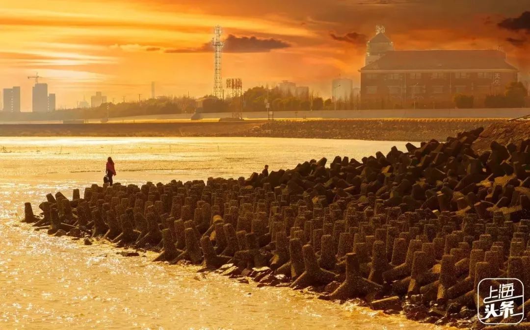 吵翻了！魔都16区终于正面PK！哪个是你心中的C位担当？