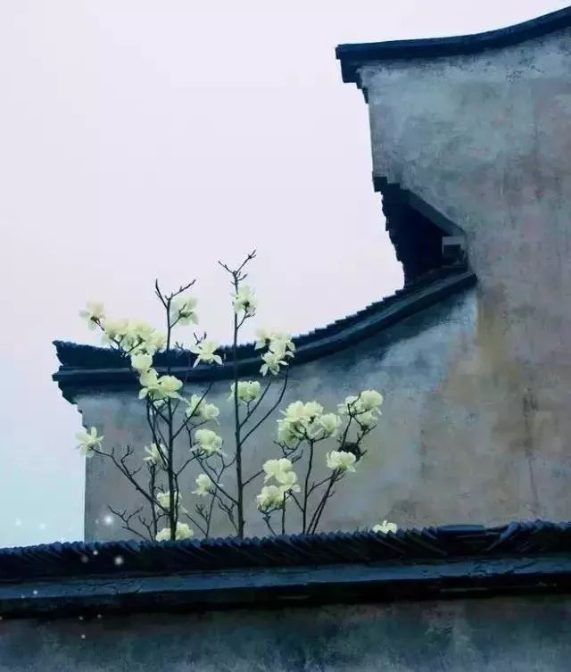 人民日报整理100个最常误用的成语,人民日报总结的常被误用的成语