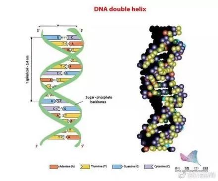 美国大学教授怼留学生作弊 (美国留学生作弊事件)