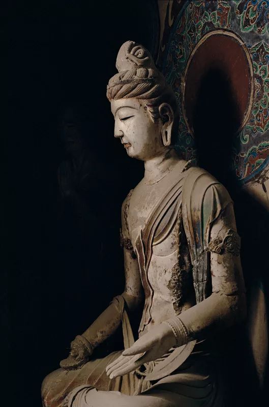 比斯坦因更残酷的*物文**盗贼-华尔纳