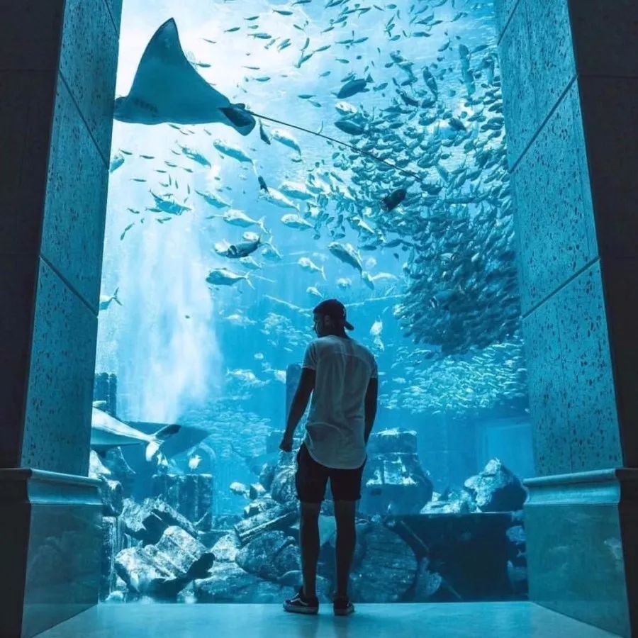 迪拜商务考察团,阿拉伯代表团