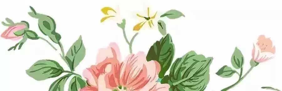 拿破仑最喜欢什么珠宝,拿破仑浪漫首饰