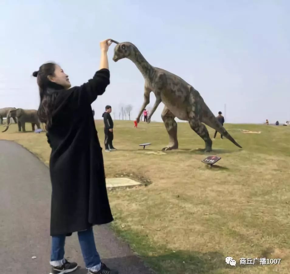 带你欣赏淮南寿县古城,参观寿县古城