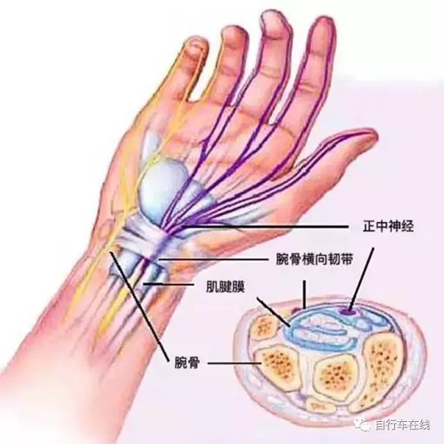 骑行不戴口罩会有什么后果,骑行不戴手套危害有多大