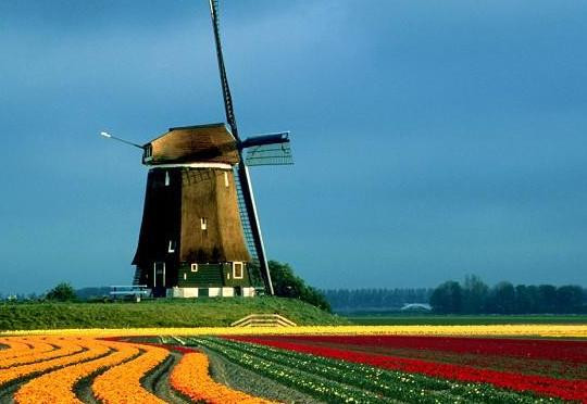 荷兰海牙皇宫,肃穆城市