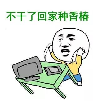 近期天价蔬菜,100元一斤的天价菜