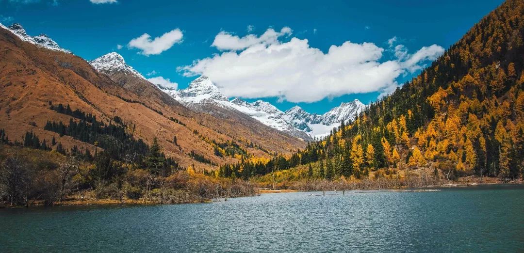 四姑娘山云间花径越野跑延期,2024四姑娘山云间花径越野跑