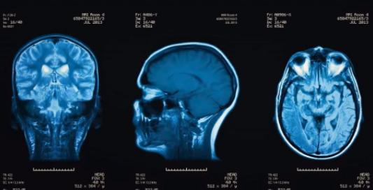 crashcourse全部课程,crashcourse速成课